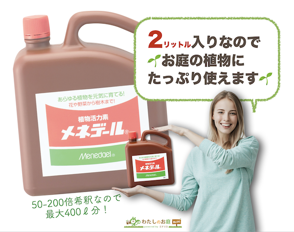 絶妙なデザイン メネデール 活力剤 2L www.oasis-sapporo.com