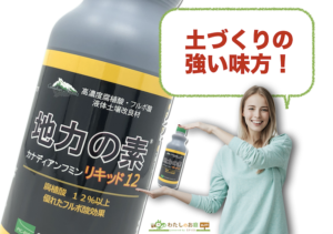 地力の素