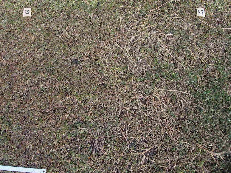 一目瞭然！！！